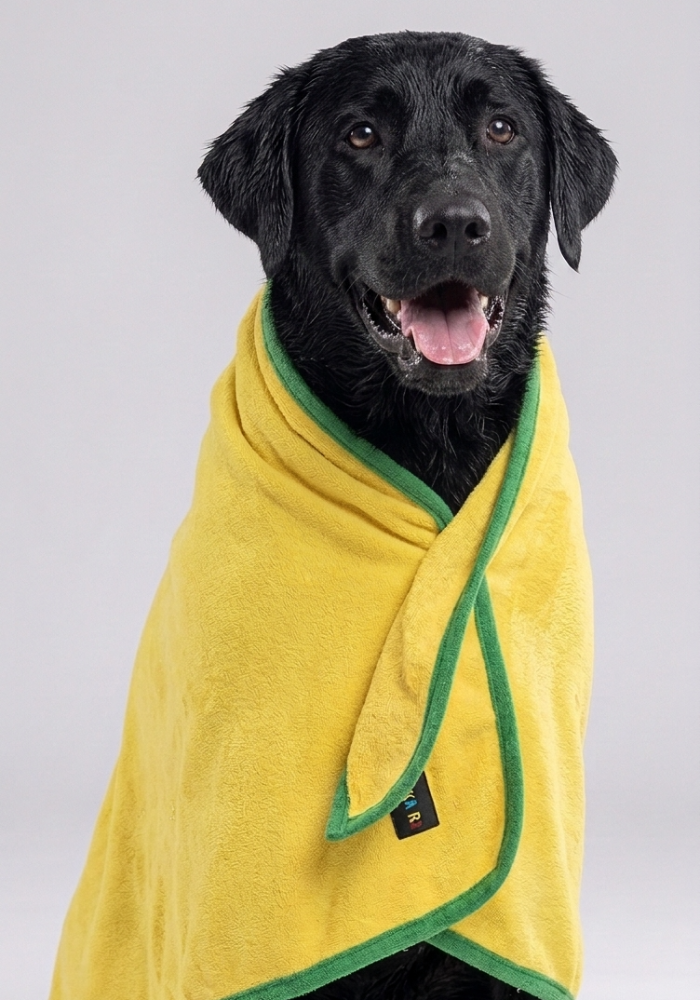 Skatrs Towel for Dogs and Cats (Yellow and Green) Both-Grooming Supplies Skatrs 120x60cm