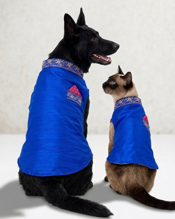 Skatrs Ethnic Sherwani for Dogs and Cats (Royal Blue)