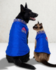 Skatrs Ethnic Sherwani for Dogs and Cats (Royal Blue) Both-Clothing & Accessories Skatrs