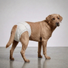 Skatrs Diapers for Female Dogs Dogs-Health & Wellness Skatrs XL
