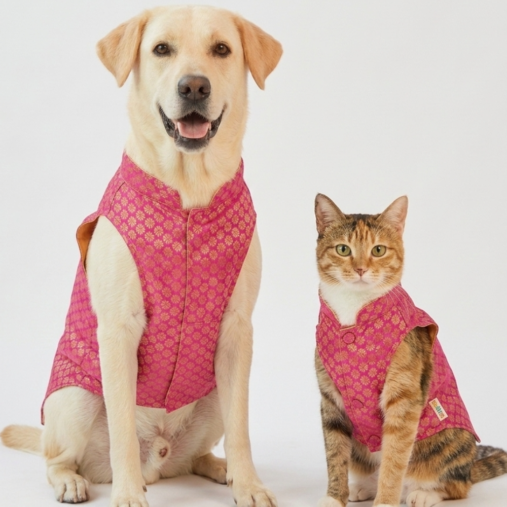 Skatrs Brocade Gold Printed Sherwani for Dogs and Cats (Pink) Both-Clothing & Accessories Skatrs XXL