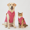 Skatrs Brocade Gold Printed Sherwani for Dogs and Cats (Pink) Both-Clothing & Accessories Skatrs