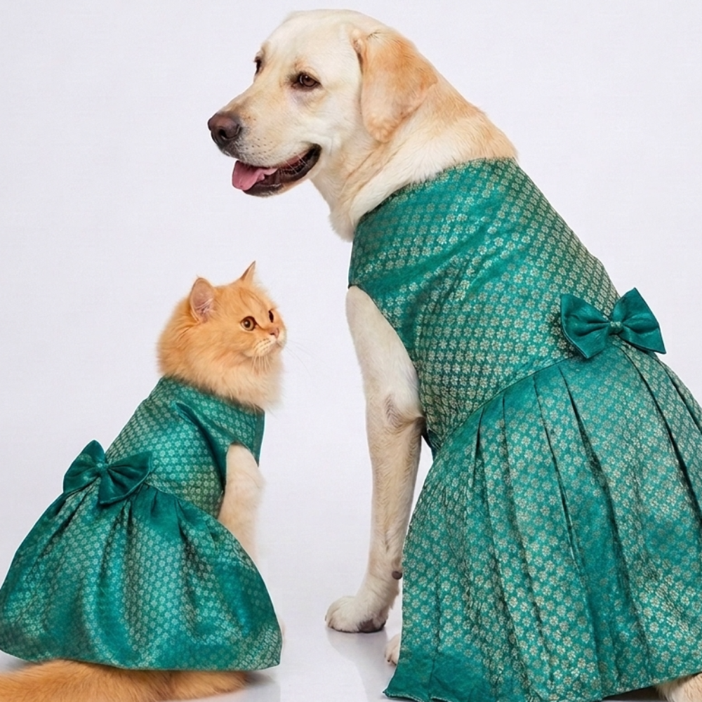 Skatrs Brocade Gold Printed Dress for Dogs and Cats (Teal) Both-Clothing & Accessories Skatrs XS