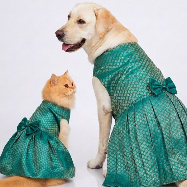 Skatrs Brocade Gold Printed Dress for Dogs and Cats (Teal)