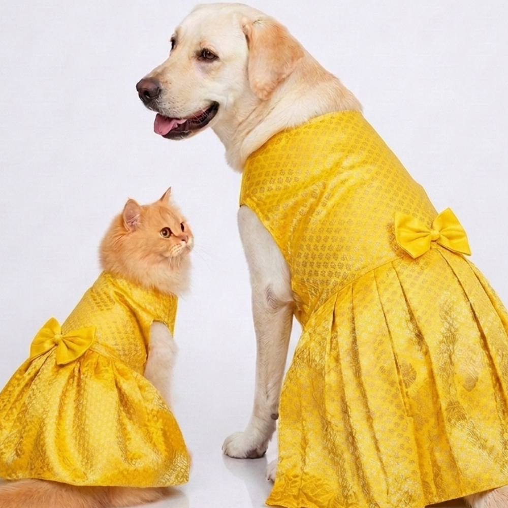 Skatrs Brocade Gold Printed Dress for Dogs and Cats (Yellow) Both-Clothing & Accessories Skatrs S