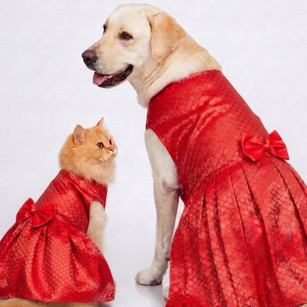 Skatrs Brocade Gold Printed Dress for Dogs and Cats (Red) Both-Clothing & Accessories Skatrs XXL