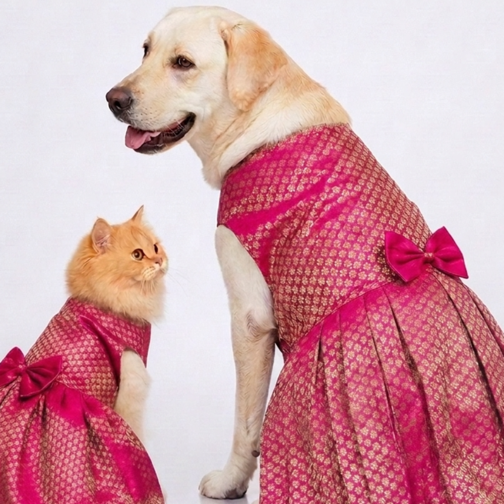 Skatrs Brocade Gold Printed Dress for Dogs and Cats (Pink) Both-Clothing & Accessories Skatrs M