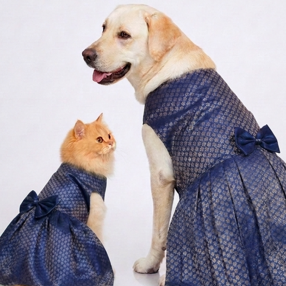 Skatrs Brocade Gold Printed Dress for Dogs and Cats (Blue) Both-Clothing & Accessories Skatrs XS