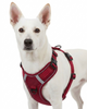 Skatrs Fully Padded Reflective Harness for Dogs & Cats (Maroon) Both-Collar, Leashes, harnesses Skatrs S