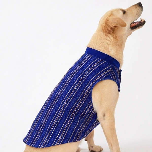 Skatrs Maharaja Handcrafted Sherwani for Dogs and Cats (Sapphire Blue)