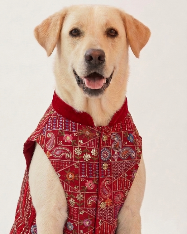 Skatrs Maharaja Handcrafted Sherwani for Dogs and Cats (Crimson Red)