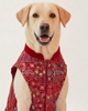 Skatrs Maharaja Handcrafted Sherwani for Dogs and Cats (Crimson Red) Both-Clothing & Accessories Skatrs