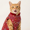 Skatrs Maharaja Handcrafted Sherwani for Dogs and Cats (Crimson Red) Both-Clothing & Accessories Skatrs
