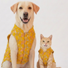 Skatrs Maharaja Handcrafted Sherwani for Dogs and Cats (Sunshine Gold) Both-Clothing & Accessories Skatrs XS