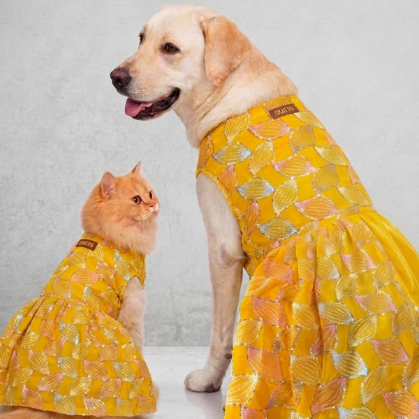 Skatrs Maharani Handcrafted Sherwani for Dogs and Cats (Sunshine Gold)