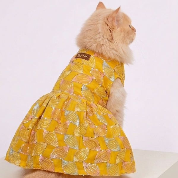 Skatrs Maharani Handcrafted Sherwani for Dogs and Cats (Sunshine Gold)