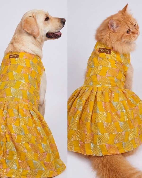 Skatrs Maharani Handcrafted Sherwani for Dogs and Cats (Sunshine Gold)