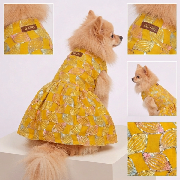 Skatrs Maharani Handcrafted Sherwani for Dogs and Cats (Sunshine Gold)