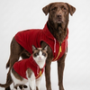 Skatrs Breezy Hoodies with Pockets for Dog and Cats (Red) Both-Clothing & Accessories Skatrs