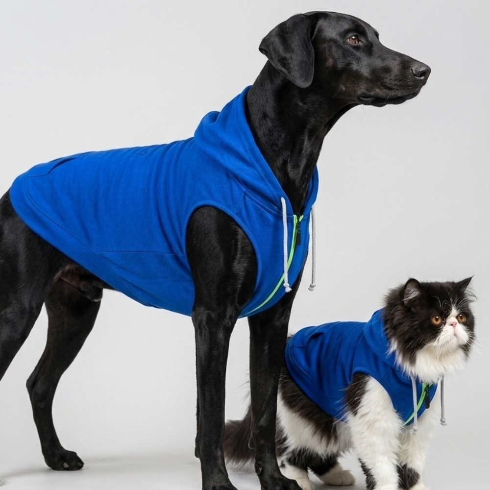 Skatrs Breezy Hoodie with Pockets for Dog and Cats (Blue) Both-Clothing & Accessories Skatrs