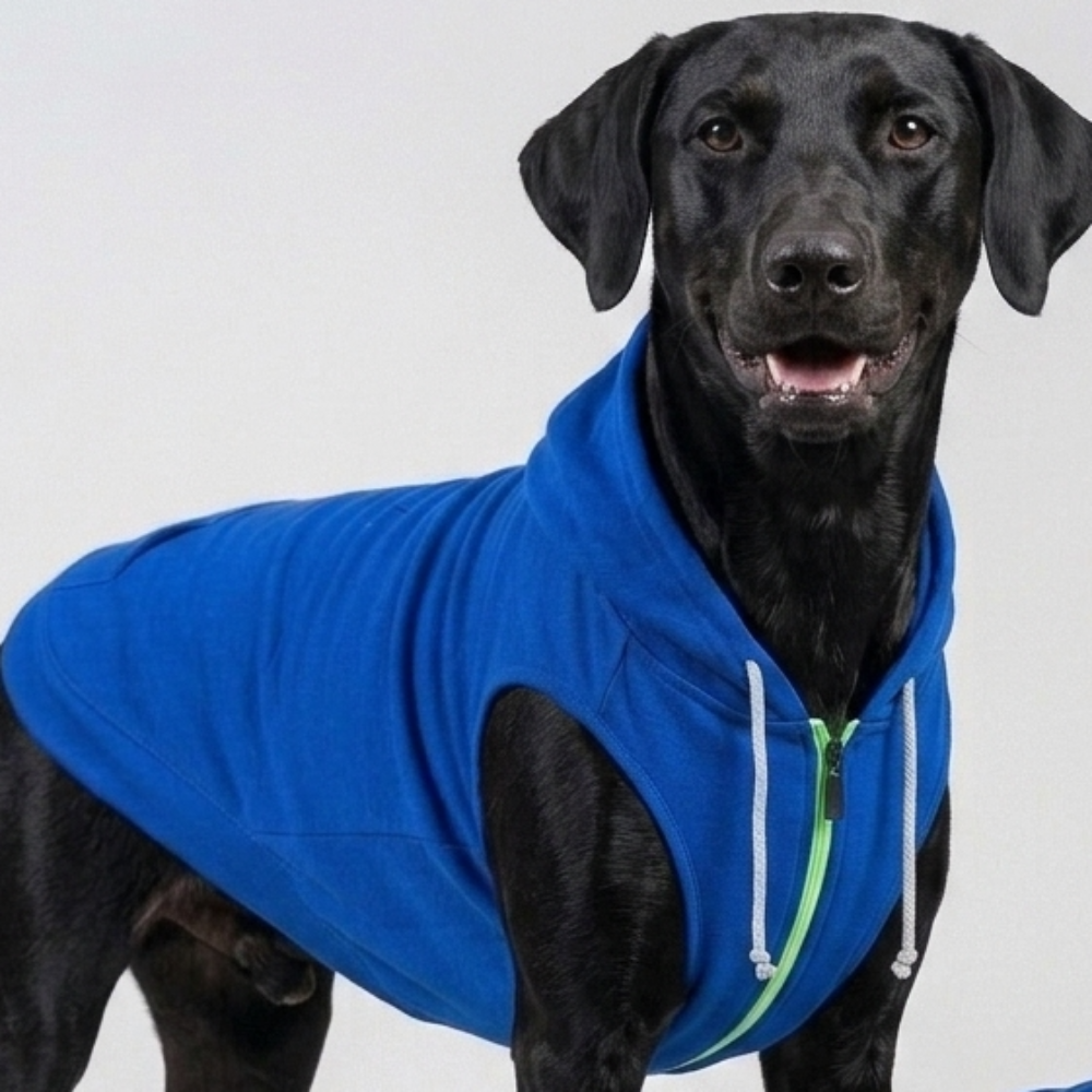 Skatrs Breezy Hoodie with Pockets for Dog and Cats (Blue) Both-Clothing & Accessories Skatrs