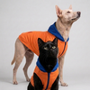 Skatrs Sunset Splash In-Style Hoodie For Dogs and Cats (Orange & Blue) Both-Clothing & Accessories Skatrs