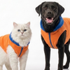 Skatrs Sunset Splash In-Style Hoodie For Dogs and Cats (Orange & Blue) Both-Clothing & Accessories Skatrs