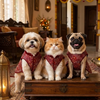 Skatrs Maharaja Handcrafted Sherwani for Dogs and Cats (Crimson Red) Both-Clothing & Accessories Skatrs