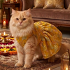 Skatrs Maharani Handcrafted Sherwani for Dogs and Cats (Sunshine Gold) Both-Clothing & Accessories Skatrs