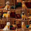 Skatrs Maharaja Handcrafted Sherwani for Dogs and Cats (Sunshine Gold) Both-Clothing & Accessories Skatrs