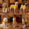 Skatrs Maharaja Handcrafted Sherwani for Dogs and Cats (Sunshine Gold) Both-Clothing & Accessories Skatrs