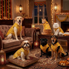 Skatrs Maharaja Handcrafted Sherwani for Dogs and Cats (Sunshine Gold) Both-Clothing & Accessories Skatrs