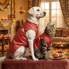 Skatrs Brocade Gold Printed Sherwani for Dogs and Cats (Red) Both-Clothing & Accessories Skatrs