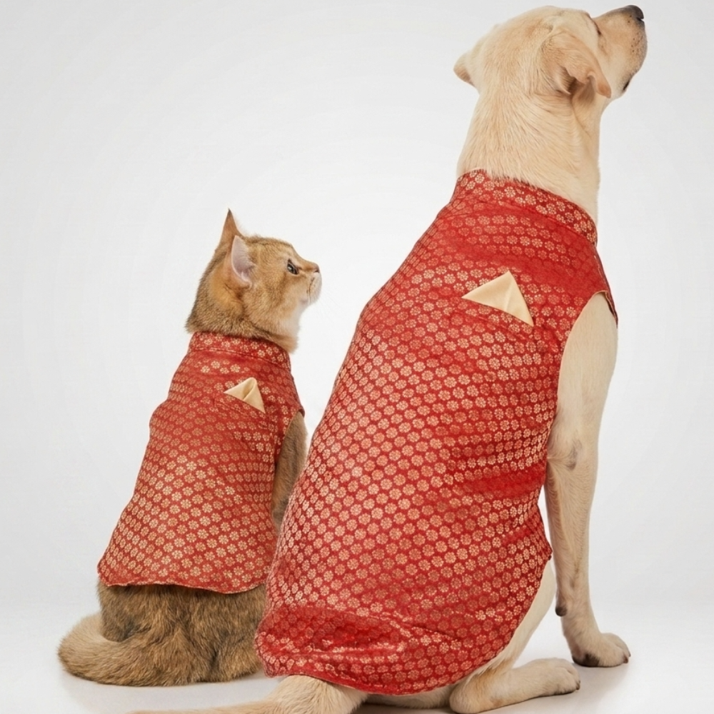Skatrs Brocade Gold Printed Sherwani for Dogs and Cats (Red) Both-Clothing & Accessories Skatrs