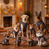 Skatrs Brocade Gold Printed Sherwani for Dogs and Cats (Blue) Both-Clothing & Accessories Skatrs