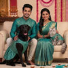 Skatrs Brocade Gold Printed Dress for Dogs and Cats (Teal) Both-Clothing & Accessories Skatrs