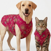 Skatrs Maharaja Handcrafted Sherwani for Dogs and Cats (Fuchsia) Both-Clothing & Accessories Skatrs XS