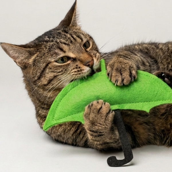 Skatrs Umbrella Toy for Cats and Kittens