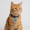 Skatrs Charms for Cats & Dogs (Assorted) Both-Toys Skatrs