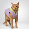 Skatrs Lilac Pop In-Style Hoodie For Dogs and Cats(Lilac & Neon Green) Both-Clothing & Accessories Skatrs
