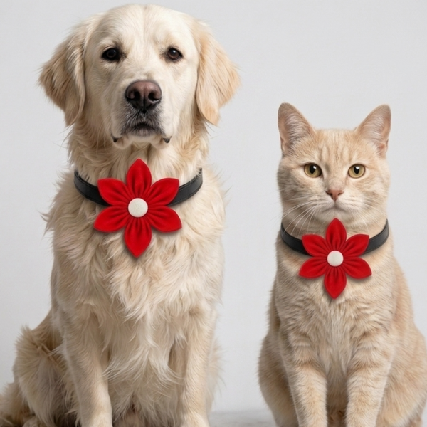 Skatrs Flower Bow for Dogs and Cats (Red)