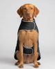 Skatrs Puffer Reversible Jacket for Dogs and Cats (Black/Lilac) Both-Clothing & Accessories Skatrs