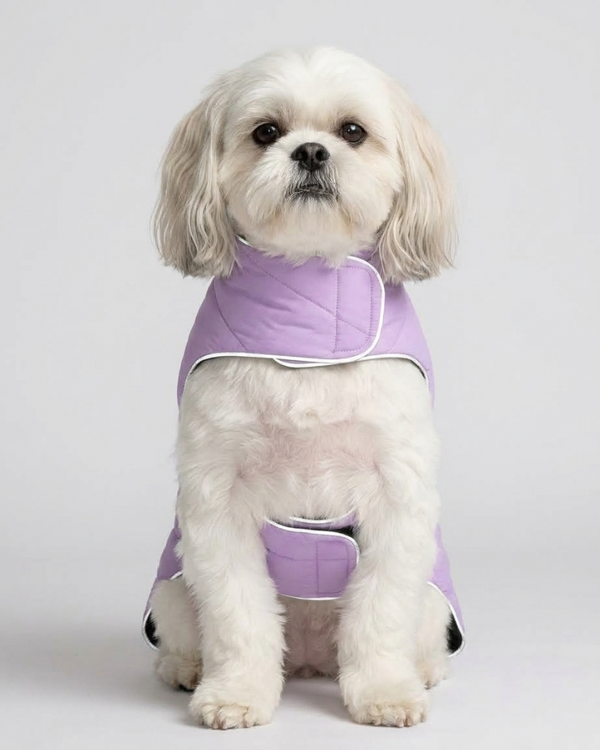 Skatrs Puffer Reversible Jacket for Dogs and Cats (Black/Lilac)