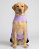 Skatrs Puffer Reversible Jacket for Dogs and Cats (Black/Lilac) Both-Clothing & Accessories Skatrs
