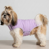 Skatrs Puffer Reversible Jacket for Dogs and Cats (Black/Lilac) Both-Clothing & Accessories Skatrs S: 23-26 in Chest