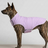Skatrs Puffer Reversible Jacket for Dogs and Cats (Black/Lilac) Both-Clothing & Accessories Skatrs L: 29-32 in Chest