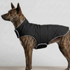 Skatrs Puffer Reversible Jacket for Dogs and Cats (Black/Lilac) Both-Clothing & Accessories Skatrs