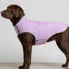 Skatrs Puffer Reversible Jacket for Dogs and Cats (Black/Lilac) Both-Clothing & Accessories Skatrs