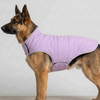 Skatrs Puffer Reversible Jacket for Dogs and Cats (Black/Lilac) Both-Clothing & Accessories Skatrs XXL: 35-38 in Chest