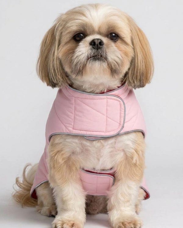 Skatrs Puffer Reversible Jacket for Dogs and Cats (Wine/Pink)